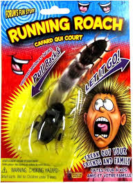 Fake Cockroach Prank
